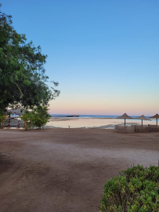Strand TUI MAGIC LIFE Kalawy