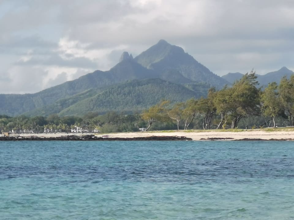 Ausblick Friday Attitude