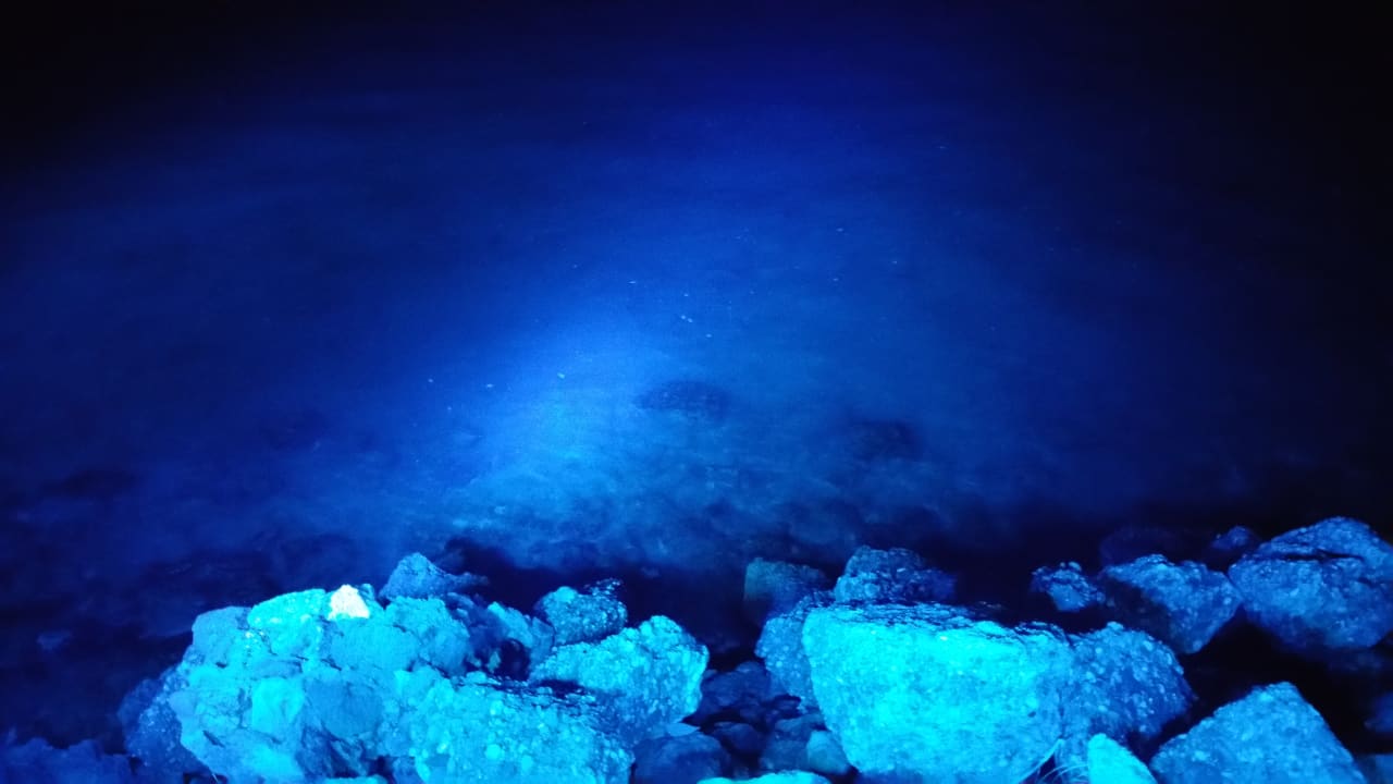 Strand Side Miami Beach