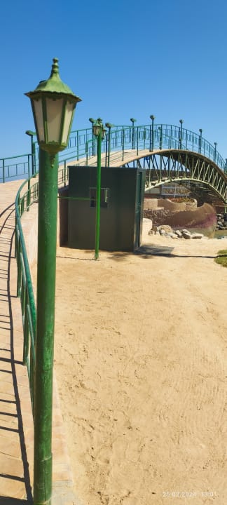 Sonstiges Desert Rose