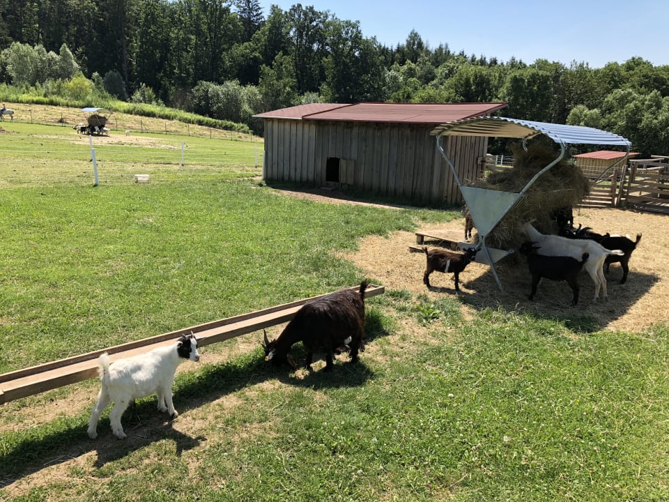 Sonstiges Reiters Finest Family Hotel