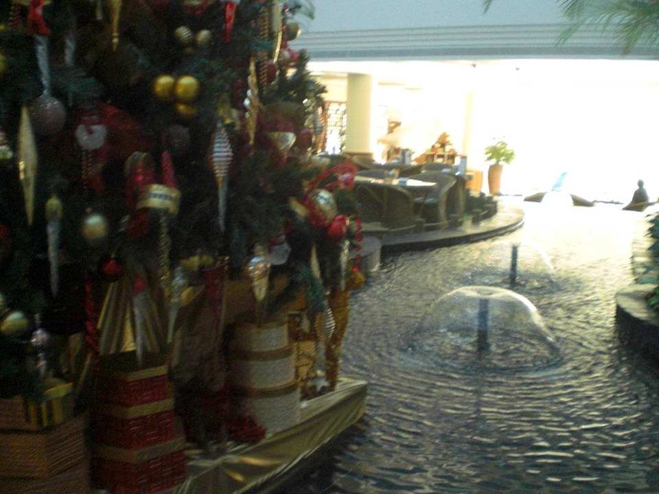 Weihnachsbaum Fujairah Rotana Resort & Spa