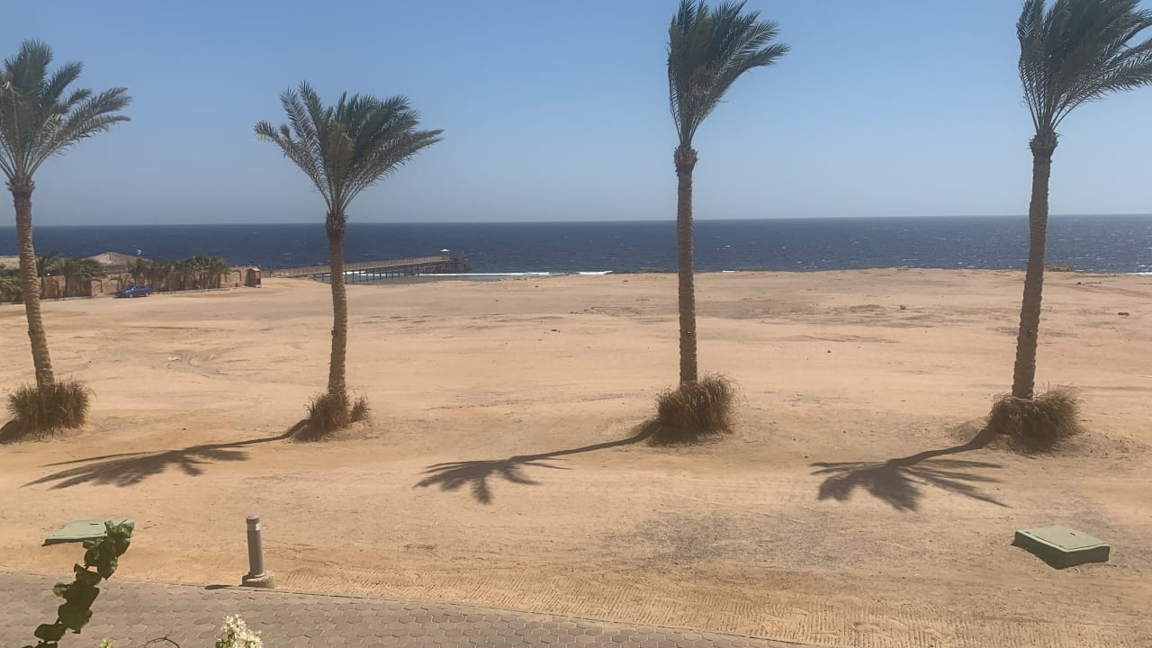 Ausblick Steigenberger Coraya Beach - Adults only