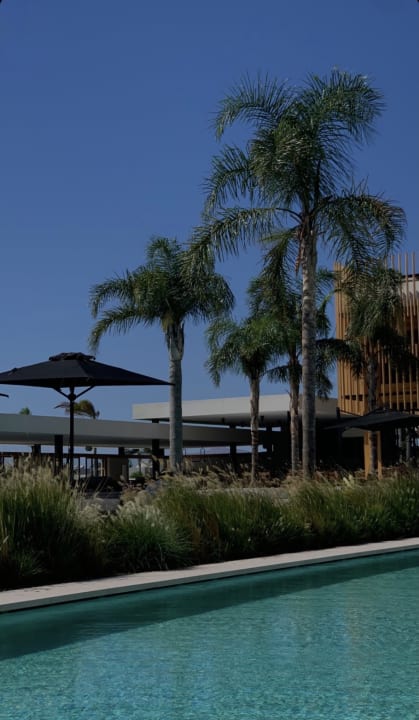 Gartenanlage Hotel D'Andrea Lagoon All Suites