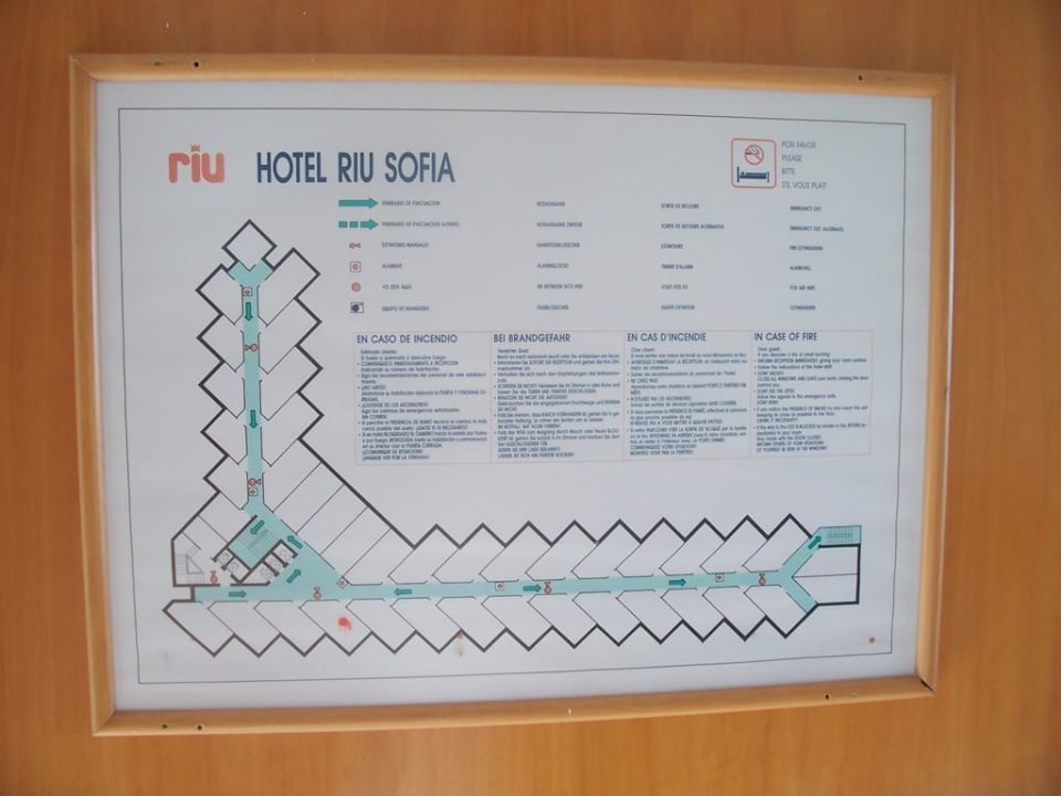 Dieses Bild hing an unserer Zimmertür Pabisa Sofia