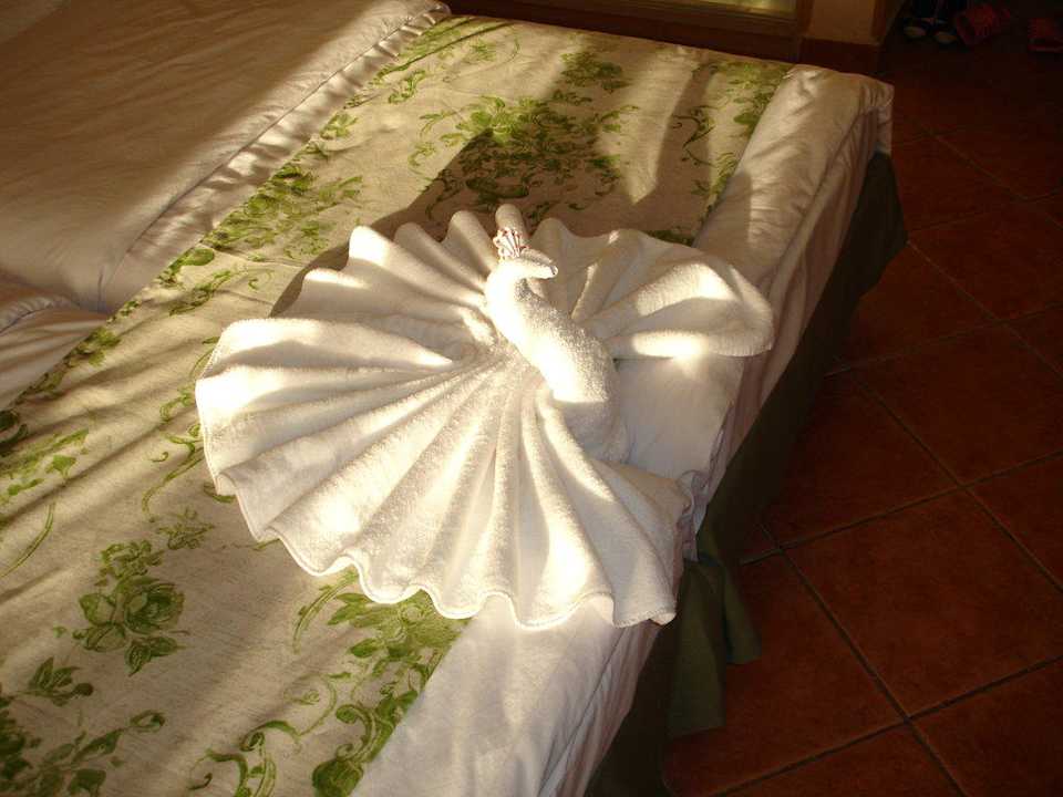 Zimmer Ghazala Gardens