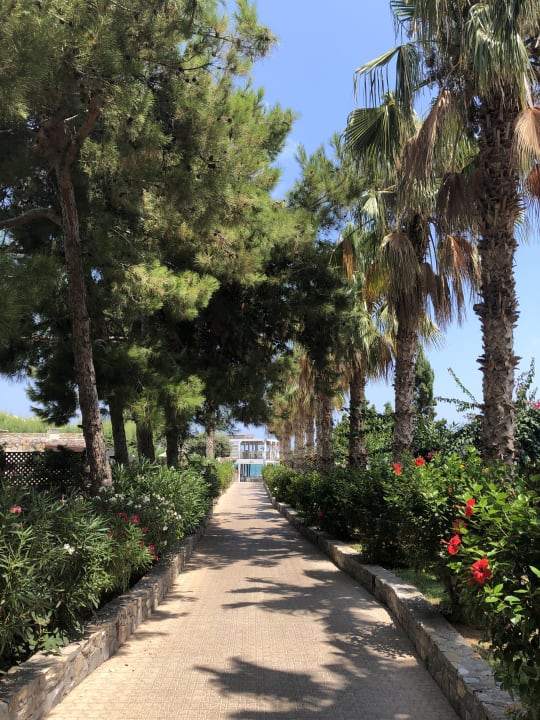 Gartenanlage Kalypso Hotel