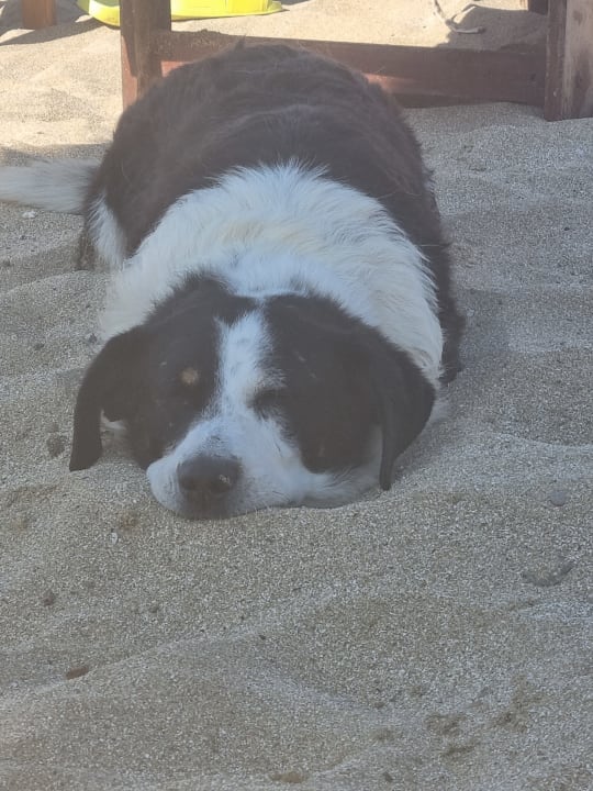 Strand High Beach Resort