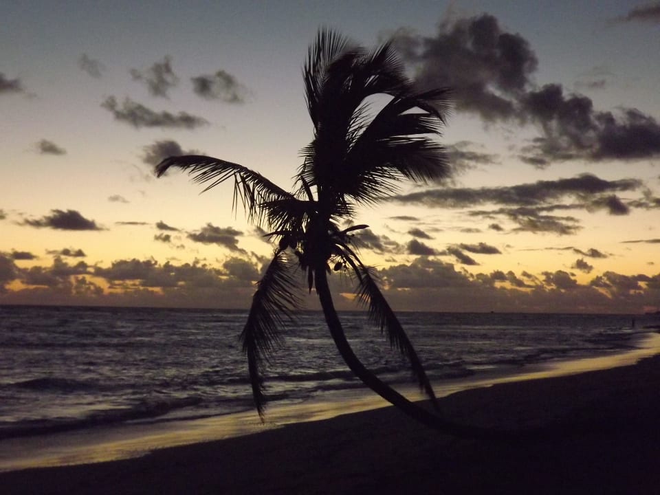 Sonnenaufgang Grand Sirenis Punta Cana Resort & Aquagames