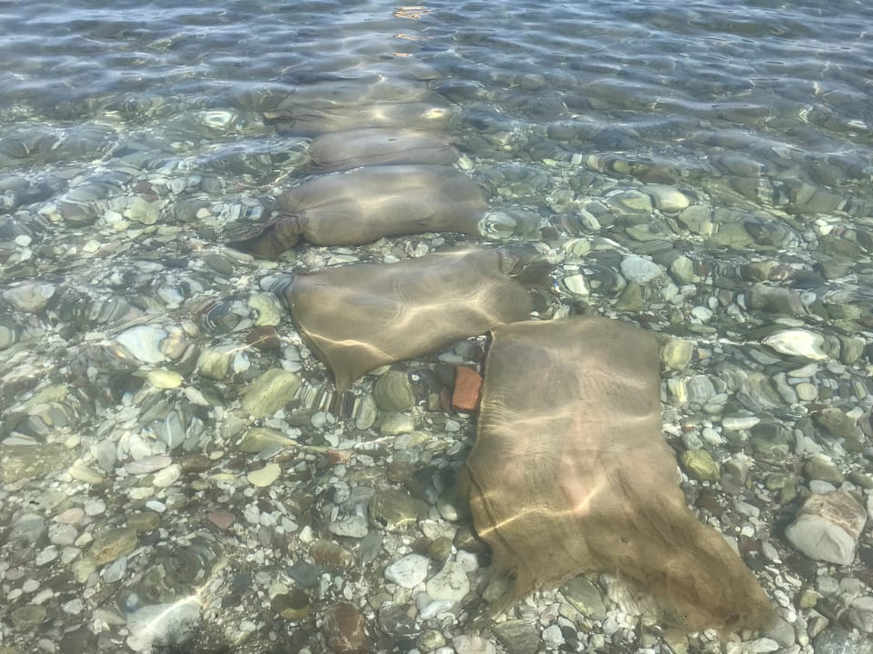 Strand Airotel Achaia Beach Hotel