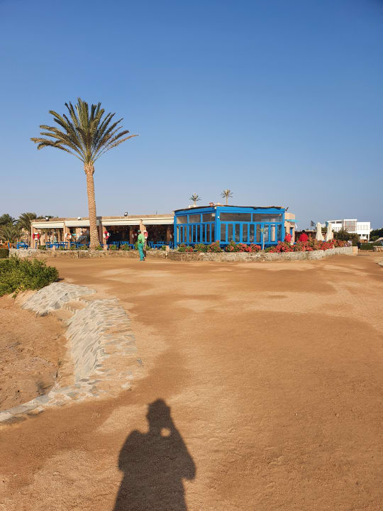 Gastro Club Paradisio El Gouna, Red Sea