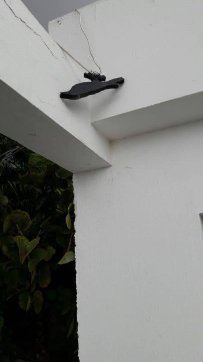 Lockeres Stromkabel mit Holzvogel im Anflug Servatur Alameda de Jandía