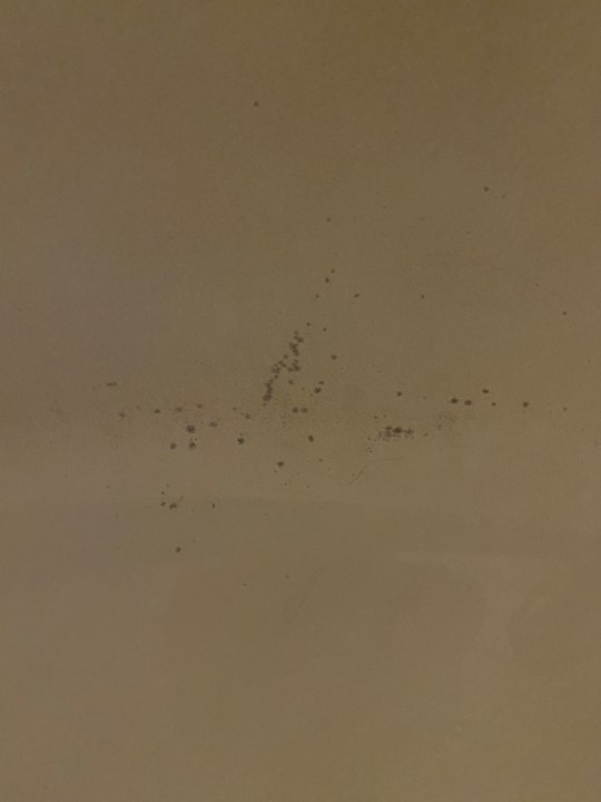 Zimmer Best Western Plus Hotel Khan