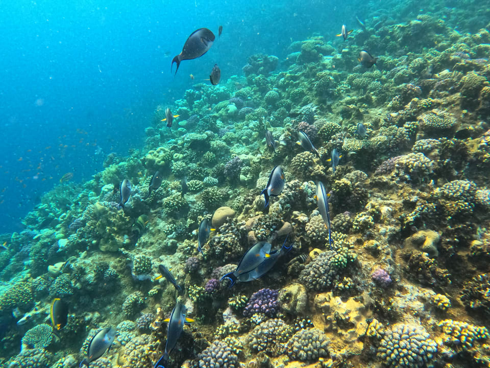 Strand Three Corners Happy Life Beach Resort