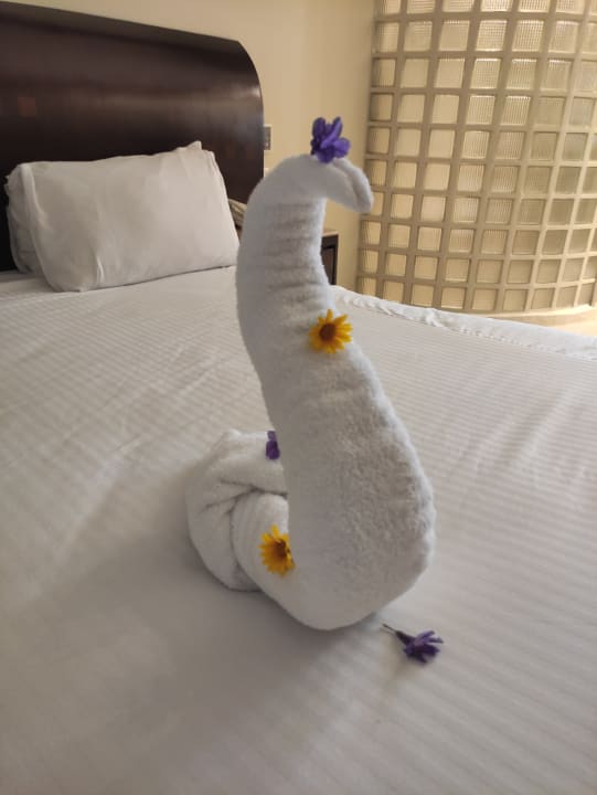 Zimmer Shams Prestige Abu Soma-Adults Only