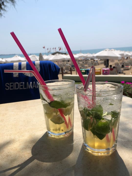 Gastro Arum Barut Collection