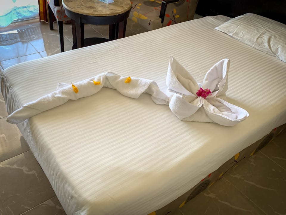 Zimmer Malikia Resort Abu Dabbab