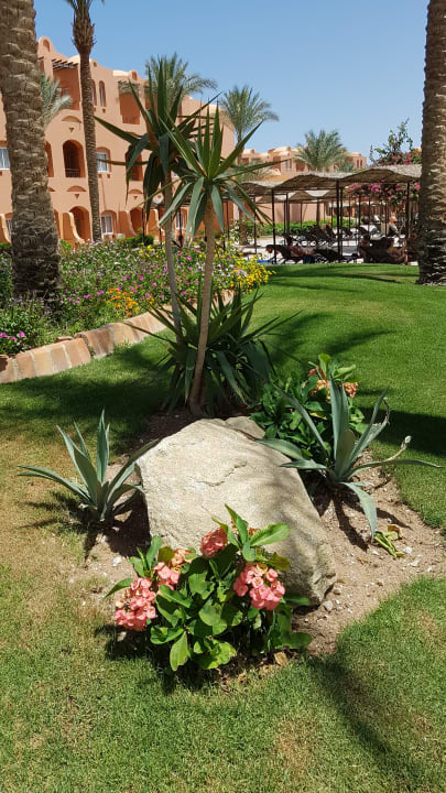 Gartenanlage Jaz Makadi Oasis Resort