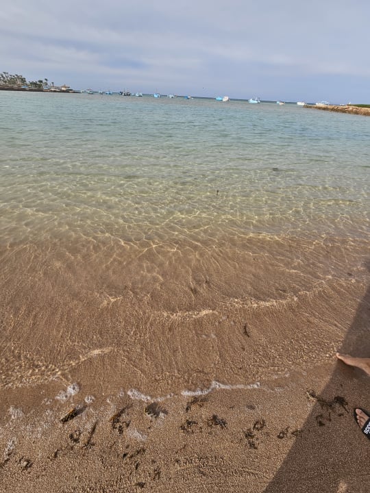 Strand Meraki Resort (Adults Only)