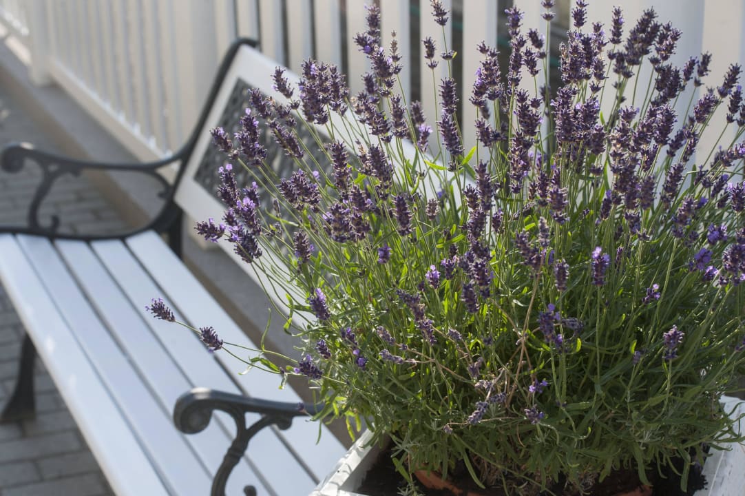 Impressionen Villa Katharina