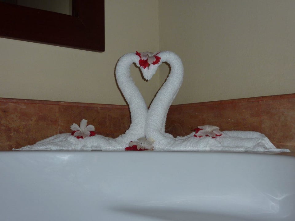 Handtuchkunst Catalonia Royal Bavaro - Adults only