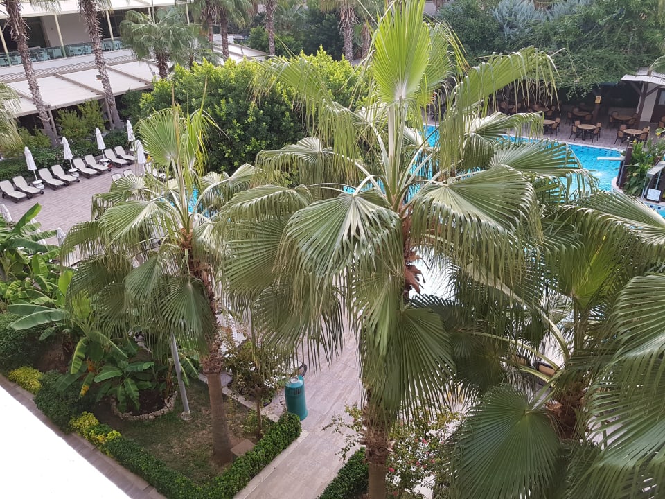Ausblick Port Side Resort Hotel