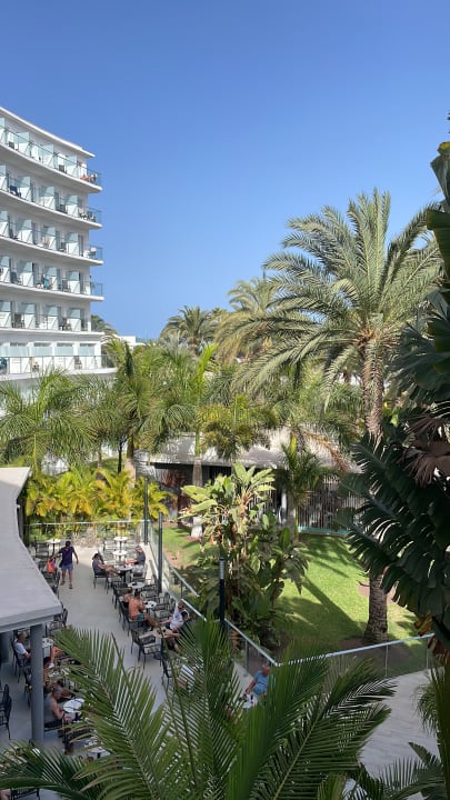 Ausblick Hotel Riu Palace Palmeras