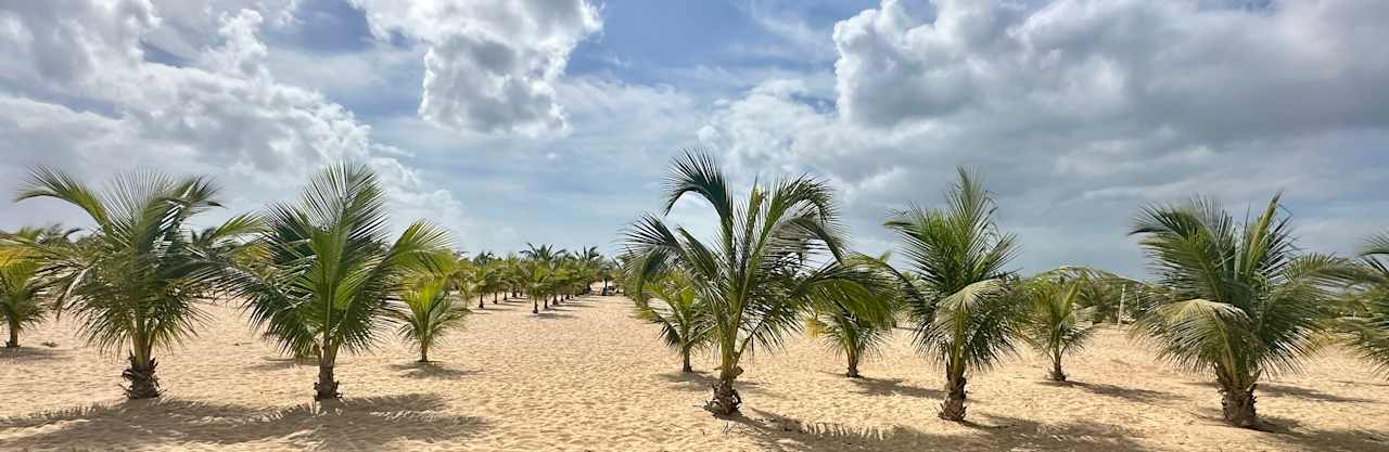 Strand Hotel Riu Palace Santa Maria