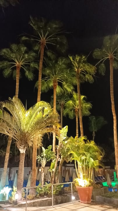 Pool Bull Costa Canaria & Spa - Adults only