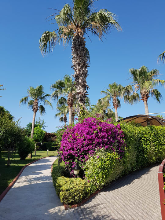 Außenansicht Aydinbey Kings Palace & Spa