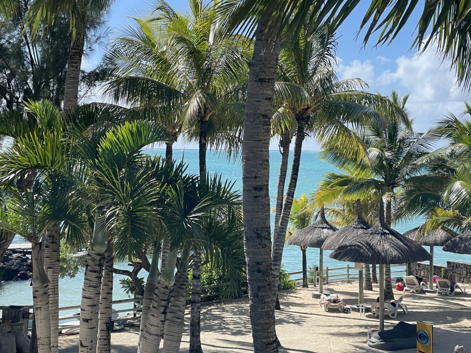 Gartenanlage Lagoon Attitude - Adults only