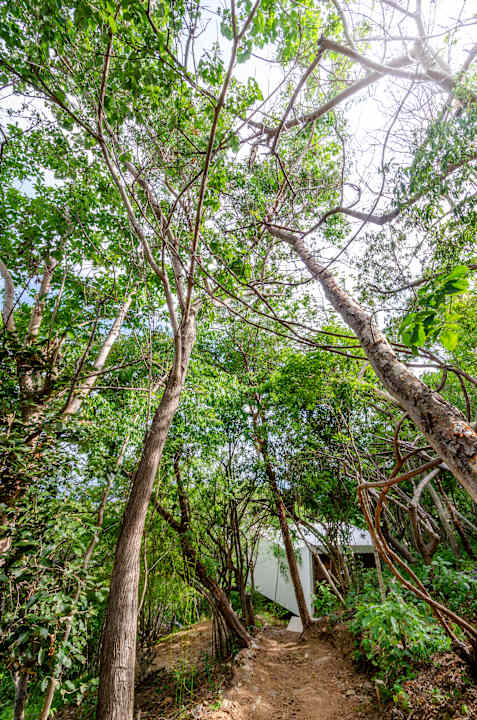 Gartenanlage Cocolia Hotel