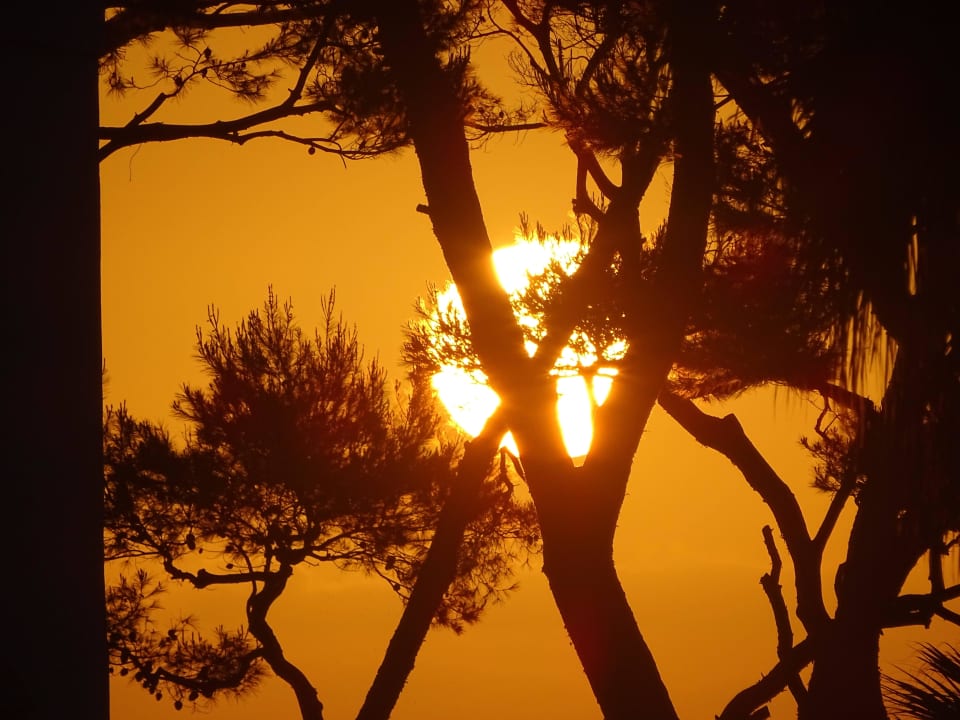 Sonnenaufgang vom Balkon aus Mar Hotels Playa de Muro Suites