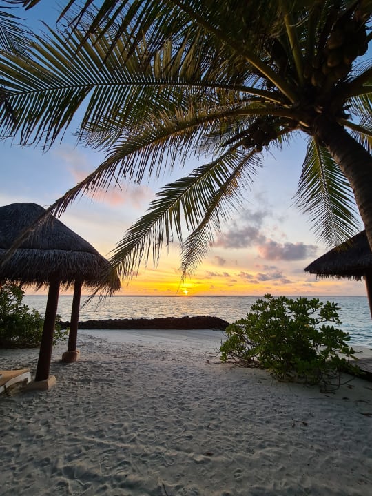 Ausblick Summer Island Maldives