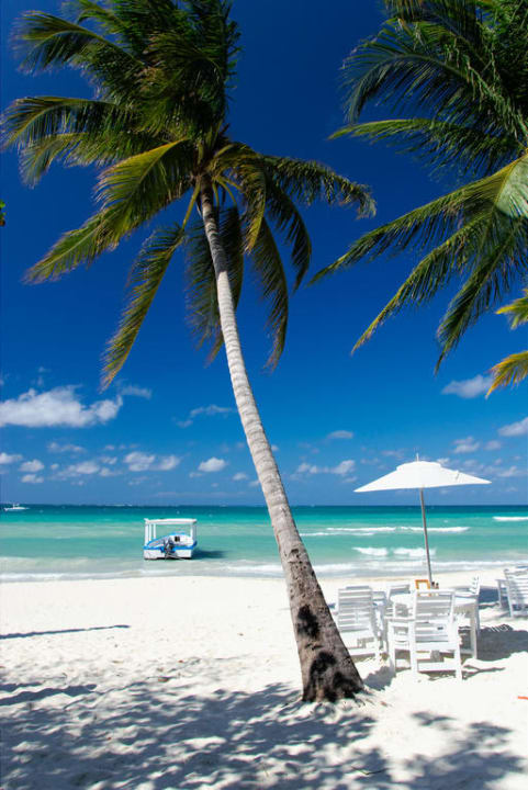 Blick vom Hotel-Strand Couples Swept Away - Adults only