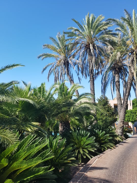 Garten Gloria Serenity Resort