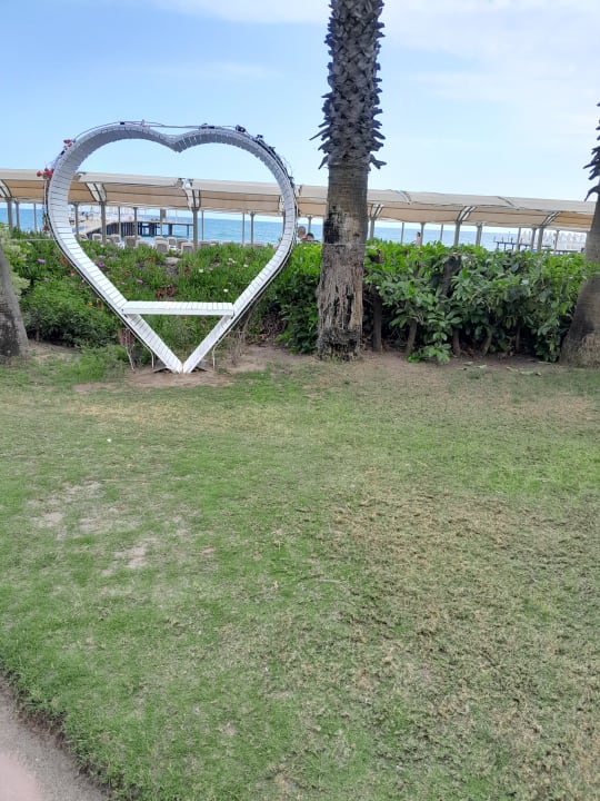 Gartenanlage Saturn Palace Resort Hotel