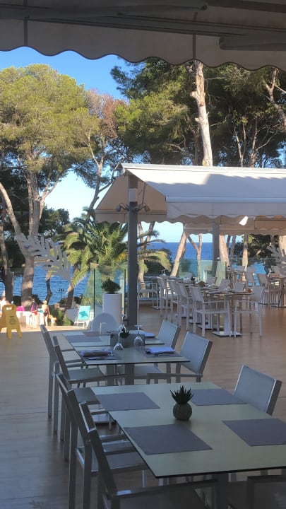 Gastro Iberostar Waves Pinos Park
