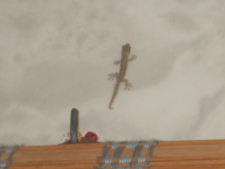 .... Villa Park Sun Island