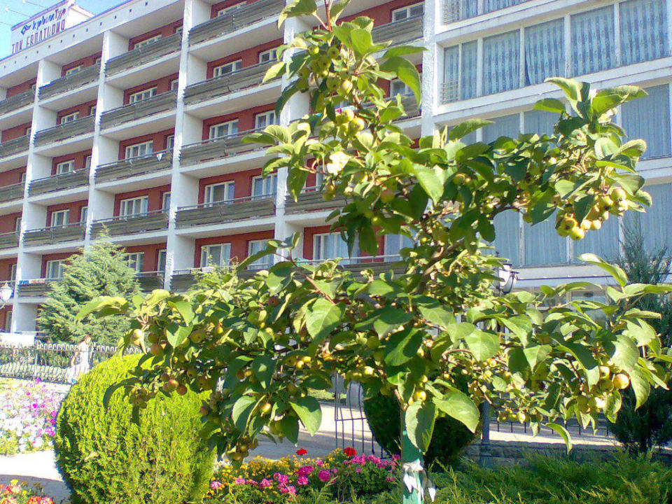 Гостиница Евпатория Hotel Jewpatorijja