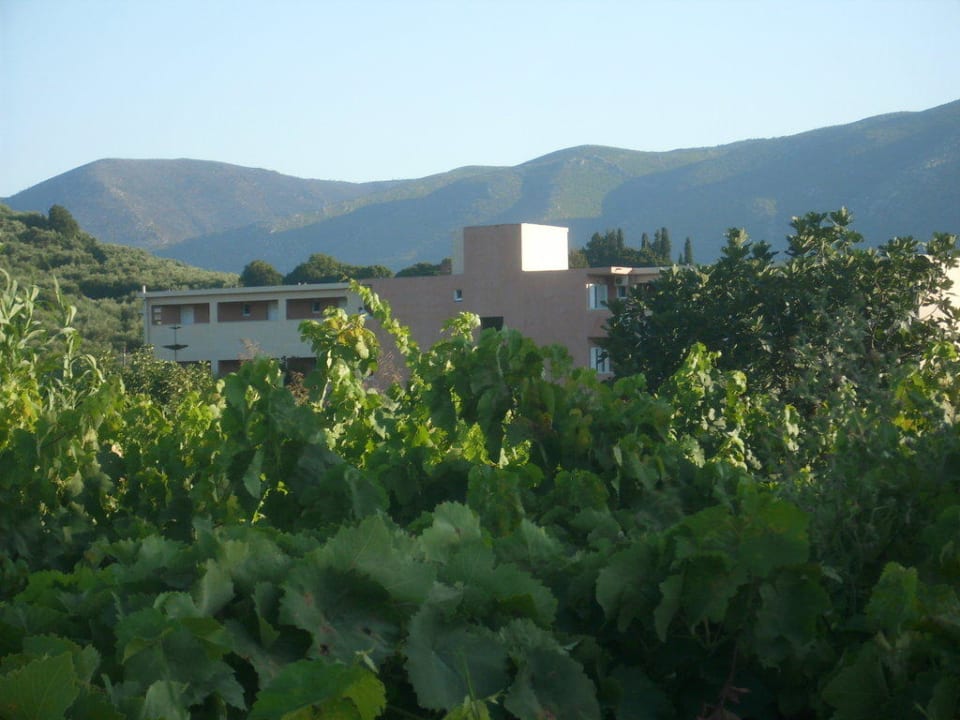 Hotel Zante Village Hotel Zante Village