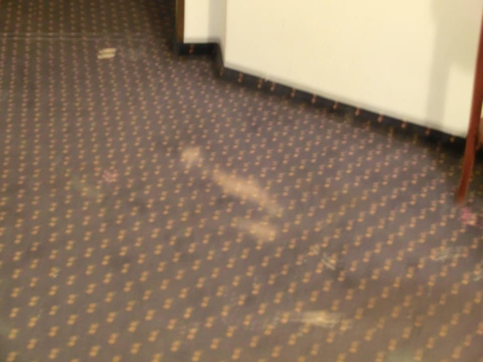 Befleckter Teppichboden Hotel die Hindenburg