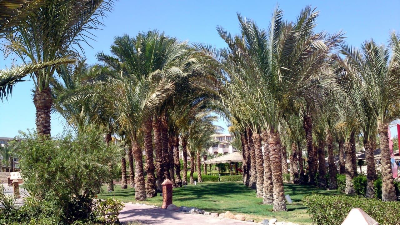 Blick von der Strandbar Fort Arabesque Resort, Spa & Villas