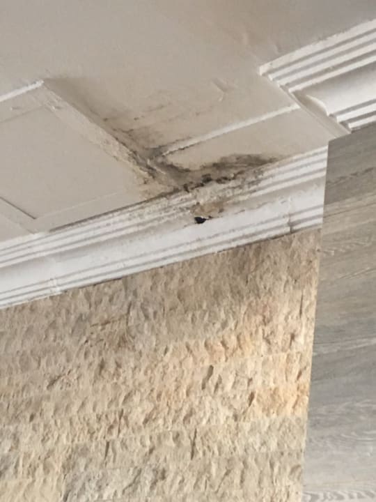 Gastro Ladonia Hotels Adakule