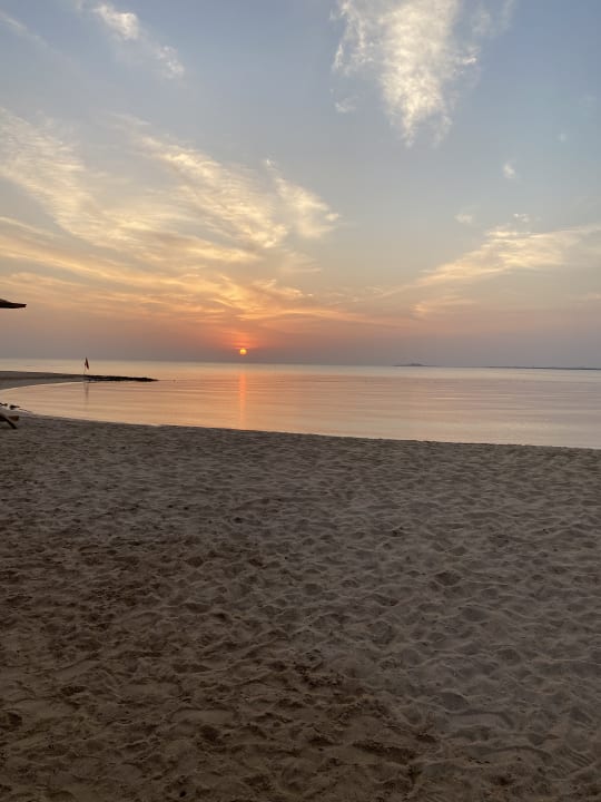 Strand Shams Prestige Abu Soma-Adults Only