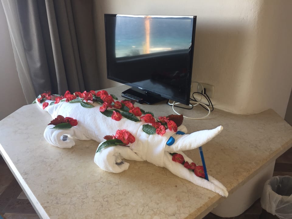 Zimmer Pickalbatros Citadel Resort