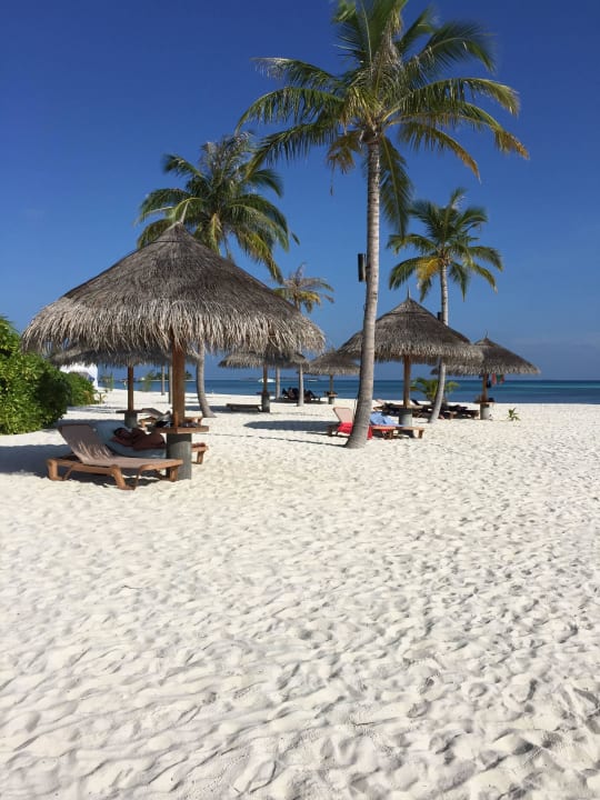 Schön oder schön??? Kuredu Island Resort & Spa