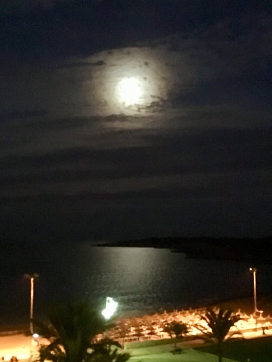 Ausblick Hipotels Hipocampo Playa