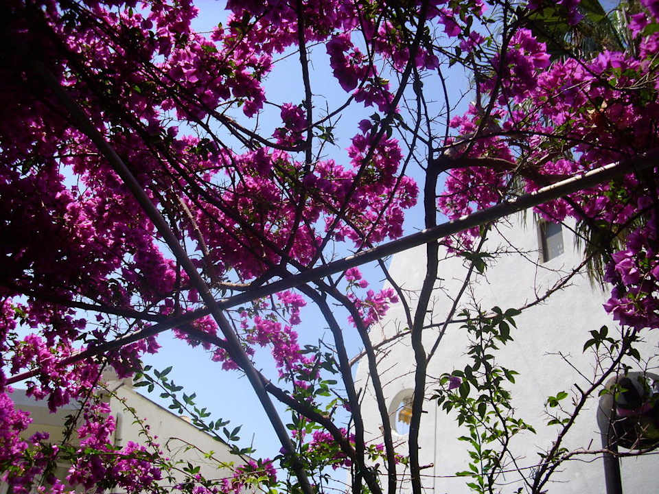 Auf dem Weg zum Strand Alaiye Resort & Spa