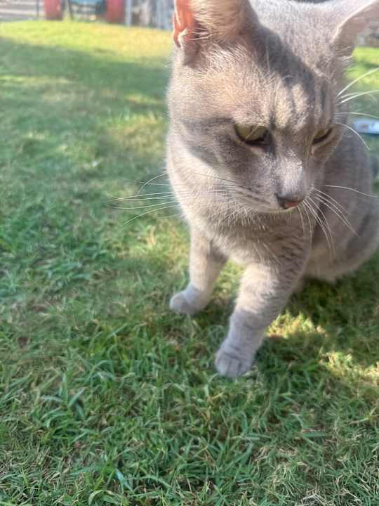 Sonstiges Mary Hotel Side